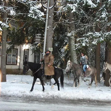 호텔 Saint George 3*