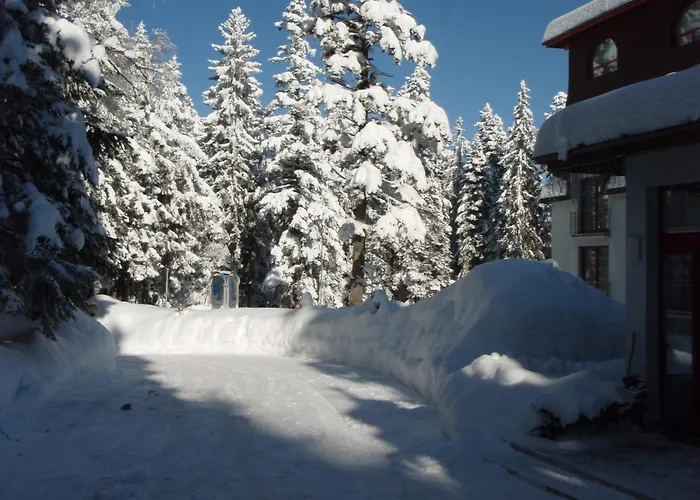 호텔 Saint George 보로베츠