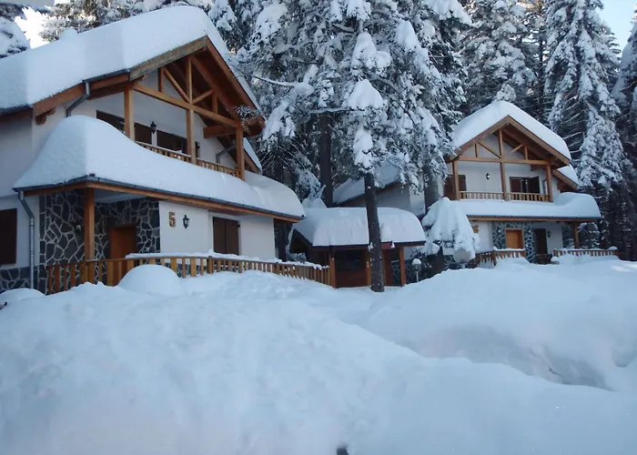 Saint George 보로베츠