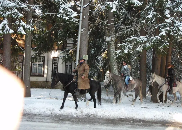 호텔 Saint George 3*