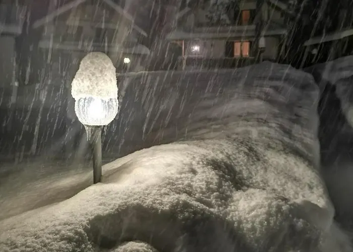 Saint George 호텔 3*