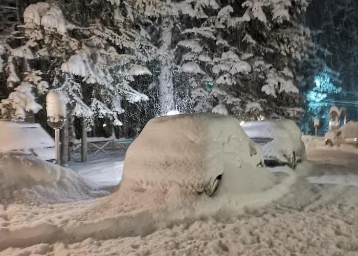 호텔 Saint George 3*